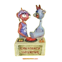 Emergency Intercom